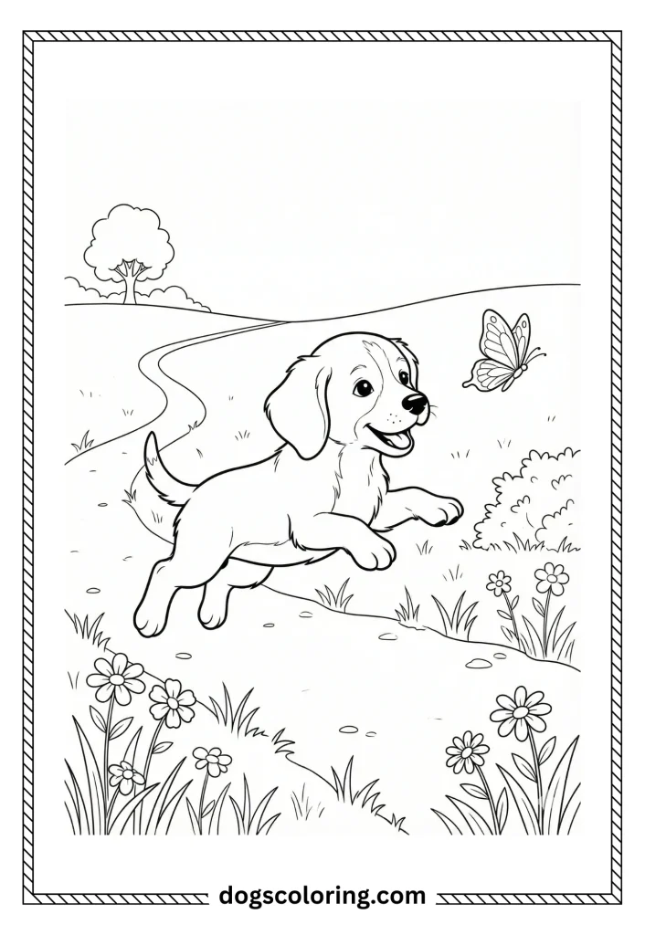 20 3
